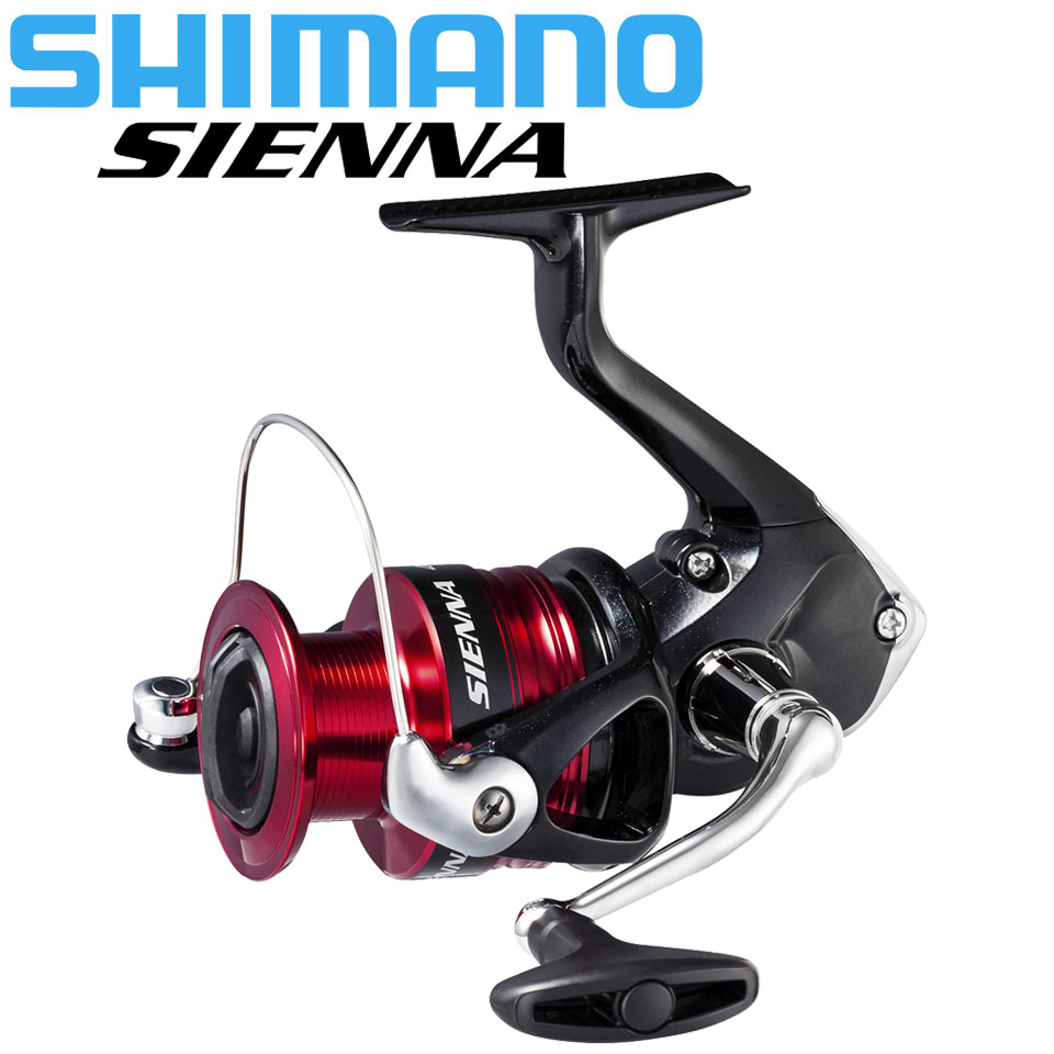 بكرة صيد دوارة من SHIMANO SIEN - مراجعة Daiwa Reel Bg وسعره